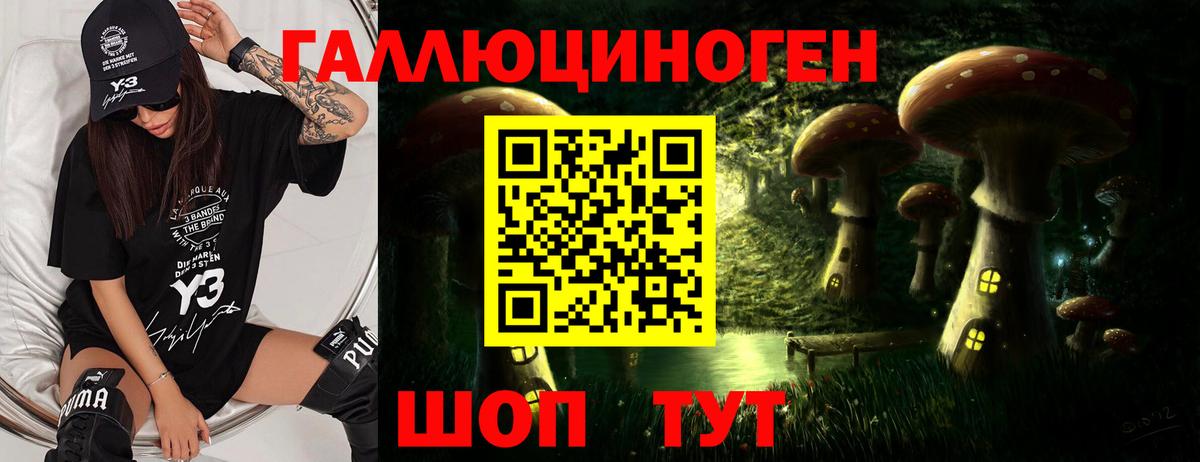 Псилоцибиновые грибы Psilocybe  Галлюциногенные грибы MAGIC MUSHROOMS  Гусь-Хрустальный  Вход с VPN 