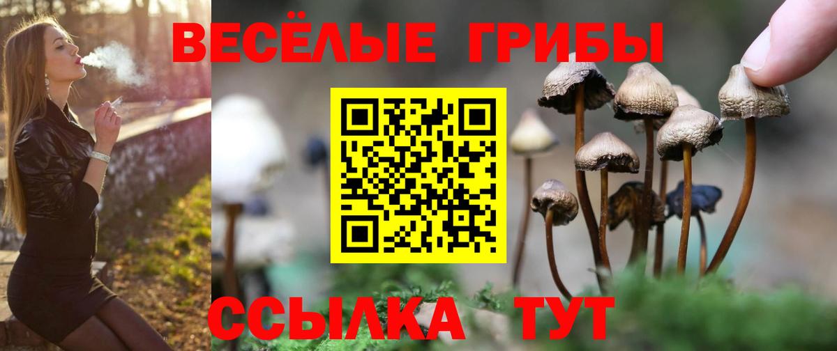 Галлюциногенные грибы GOLDEN TEACHER Гусь-Хрустальный